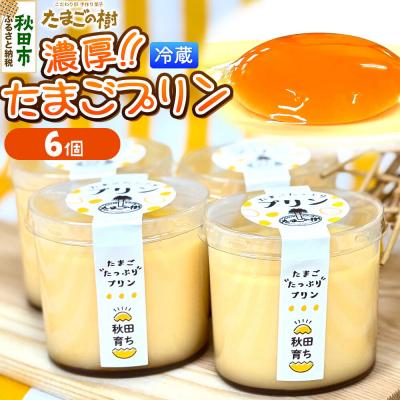 ふるさと納税 秋田市 たまごの樹 濃厚たまごプリン 6個(1個 約78g)|15_tyt-040601