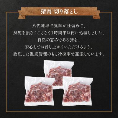 ふるさと納税 八代市 猪肉 切り落とし 1.2kg(モモ・ウデ) 400g × 3パック_067-1596-D |  | 01