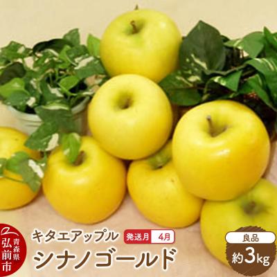 ふるさと納税 弘前市 [26年4月発送]りんご シナノゴールド[良品]約3kg[CA貯蔵]|24_kta-060301d