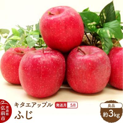 ふるさと納税 弘前市 [26年5月発送]りんご ふじ[良品]約3kg[CA貯蔵]|24_kta-080301e