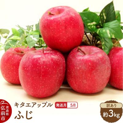 ふるさと納税 弘前市 [26年5月発送]りんご ふじ[訳あり]約3kg[CA貯蔵]|24_kta-090301e