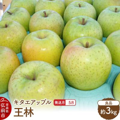 ふるさと納税 弘前市 [26年5月発送]りんご 王林[良品]約3kg[CA貯蔵]|24_kta-100301e