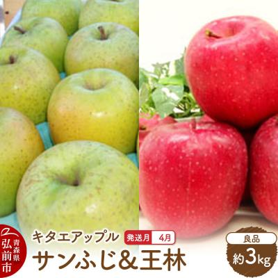 ふるさと納税 弘前市 [26年4月発送]りんご サンふじ・王林[良品]約3kg[CA貯蔵]|24_kta-040301d