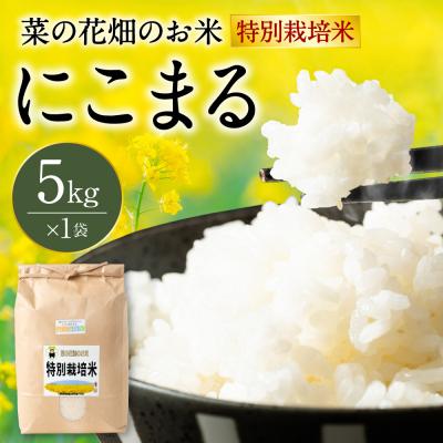 ふるさと納税 八代市 [令和7年産] 菜の花畑のお米 「特別栽培米」 5kg (5kg×1袋)