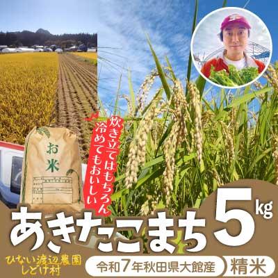ふるさと納税 大館市 [令和7年産]秋田県産「あきたこまち」精米5kg(5kg×1袋)