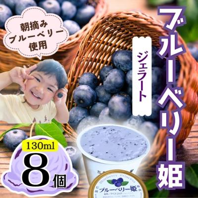 ふるさと納税 飯山市 手作りジェラート ブルーベリー姫 8個