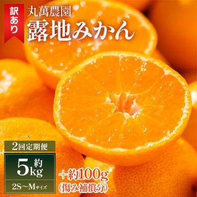 ふるさと納税 香南市 [2回定期便]露地みかん(2S〜Mサイズ) 5kg 家庭用 丸萬農園 Wmn-0017
