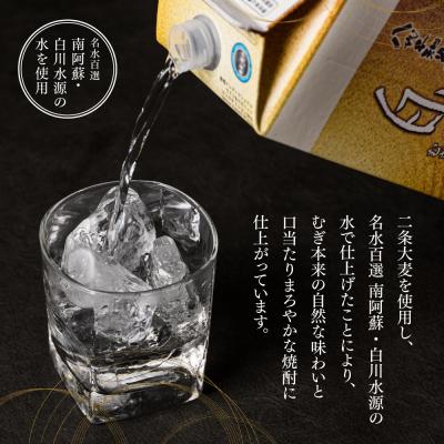 ふるさと納税 八代市 八代不知火蔵 白水 麦焼酎 1.8L 1本 25度 紙パック 麦 むぎ焼酎_040-5923-A