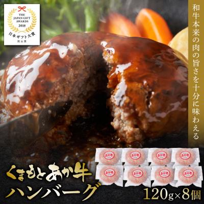 ふるさと納税 八代市 あか牛ハンバーグ 120g×8個入り_153-4983-B