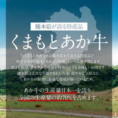 ふるさと納税 八代市 【GI認証】くまもとあか牛リブローススライス 400g_153-4985-B |  | 01