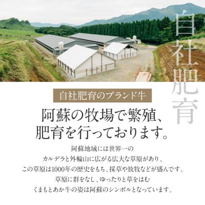 ふるさと納税 八代市 【GI認証】くまもとあか牛リブローススライス 400g_153-4985-B |  | 02