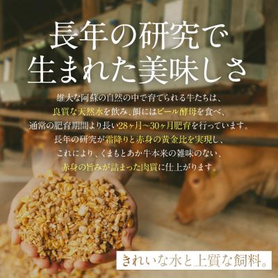 ふるさと納税 八代市 【GI認証】くまもとあか牛リブローススライス 400g_153-4985-B |  | 03