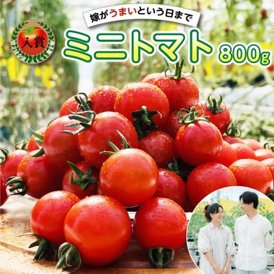 ふるさと納税 八代市 嫁がうまいと言う日まで ミニトマト 800g 八代市産 ミニトマト_160-4269-D