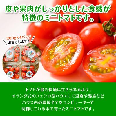 ふるさと納税 八代市 先行予約 嫁がうまいと言う日まで 800g 2026年12月上旬より発送_160-4269-E |  | 01