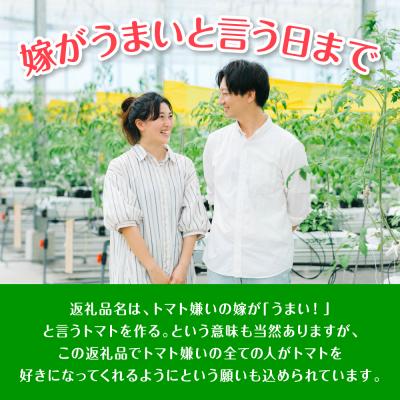 ふるさと納税 八代市 先行予約 嫁がうまいと言う日まで 800g 2026年12月上旬より発送_160-4269-E |  | 02