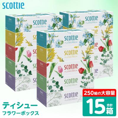 ふるさと納税 八代市 ティッシュ 15箱 スコッティ フラワーボックス_186-6425 | 