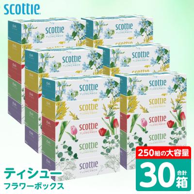 ふるさと納税 八代市 ティッシュ 30箱 スコッティ フラワーボックス_186-6427-A