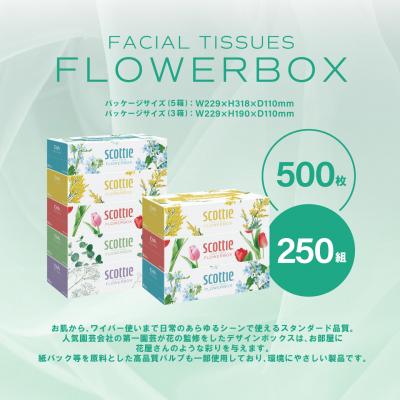 ふるさと納税 八代市 ティッシュ 30箱 スコッティ フラワーボックス_186-6427-A |  | 01