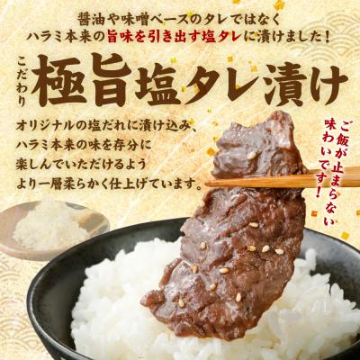 ふるさと納税 八代市 訳あり 牛ハラミ焼肉 900g(300g×3P)_233-6027-C |  | 01
