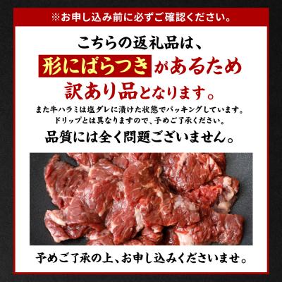 ふるさと納税 八代市 訳あり 牛ハラミ焼肉 900g(300g×3P)_233-6027-C |  | 03