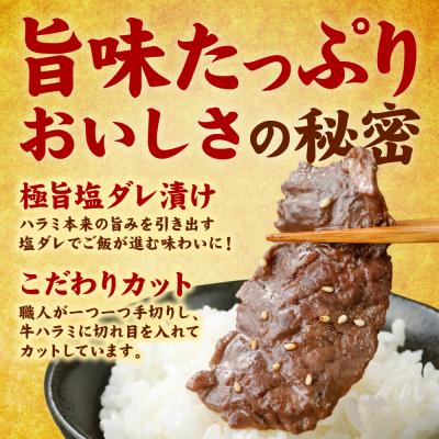 ふるさと納税 八代市 訳あり 牛ハラミ焼肉 1.2kg(300g×4P)_233-6028-A |  | 01