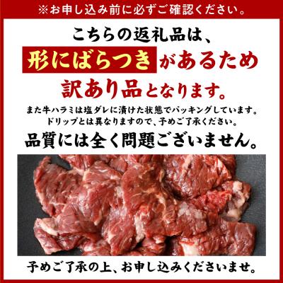 ふるさと納税 八代市 訳あり 牛ハラミ焼肉 1.2kg(300g×4P)_233-6028-A |  | 03