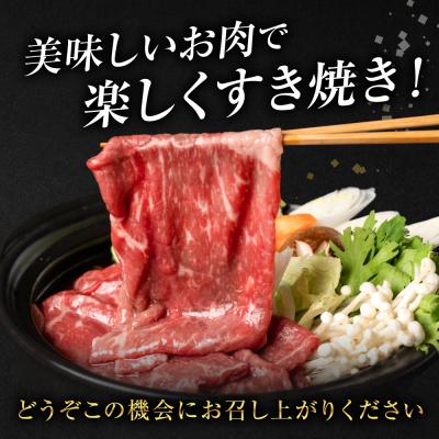 ふるさと納税 八代市 【GI認証】 くまもとあか牛 すき焼き用 500g_289-7020 |  | 03