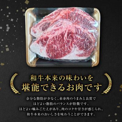 ふるさと納税 八代市 【GI認証】 くまもとあか牛 ロースステーキ 約500g_289-7021 |  | 02