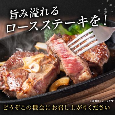 ふるさと納税 八代市 【GI認証】 くまもとあか牛 ロースステーキ 約500g_289-7021 |  | 03