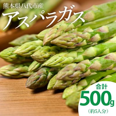 ふるさと納税 八代市 [先行予約]八代市産 アスパラガス 500g[2026年4月上旬より順次発送]