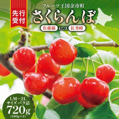 ふるさと納税 余市町 [先行受付:6月下旬発送]令和8年産さくらんぼ[LM〜2Lバラ詰め]180g×4