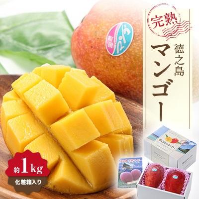 ふるさと納税 _伊仙町 [先行予約!2026年7月より順次発送] 清水果樹園 マンゴー 約1kg(化粧箱入り)