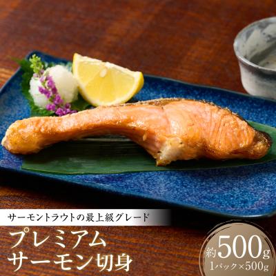 ふるさと納税 八代市 プレミアムサーモントラウト切身 (甘塩) 約500g_257-6393-A
