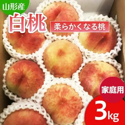 ふるさと納税 山形市 [家庭用]山形の桃(白桃) 3kg(6〜12玉) 9月発送 [柔らかくなる桃] FU22-782