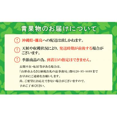 ふるさと納税 山形市  【家庭用】山形の桃(白桃) 3kg(6〜12玉) 9月発送 [柔らかくなる桃] FU22-782の画像
