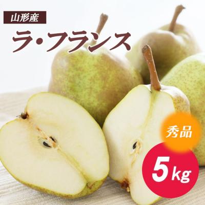 ふるさと納税 山形市 ラ・フランス 秀5kg FZ18-133