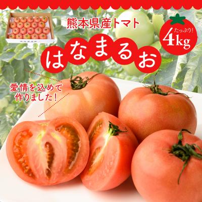 ふるさと納税 八代市 [先行予約]トマト はなまるお 4kg[2026年11月中旬より順次発送]_214-3181-F