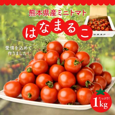 ふるさと納税 八代市 [先行予約]ミニトマト はなまるこ 1kg[2026年11月中旬より順次発送]_214-4023-F