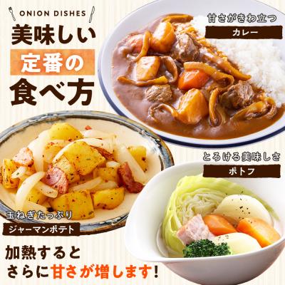 ふるさと納税 津別町 R8年産 玉ねぎ (L玉・M玉混合) 10kg オホーツクコロポックル | 北海道津別町の画像