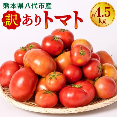 ふるさと納税 八代市 【先行予約】訳ありトマト 約4.5kg【2027年4月中旬より順次発送】_217-5121-C | 