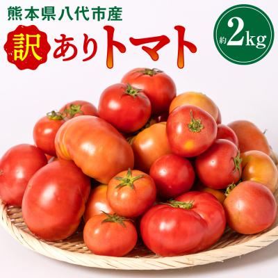 ふるさと納税 八代市 【先行予約】訳ありトマト 約2kg【2027年4月中旬より順次発送】_217-5120-C | 