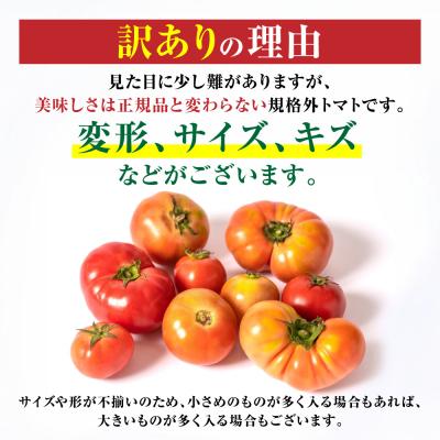 ふるさと納税 八代市 【先行予約】訳ありトマト 約2kg【2027年4月中旬より順次発送】_217-5120-C |  | 02
