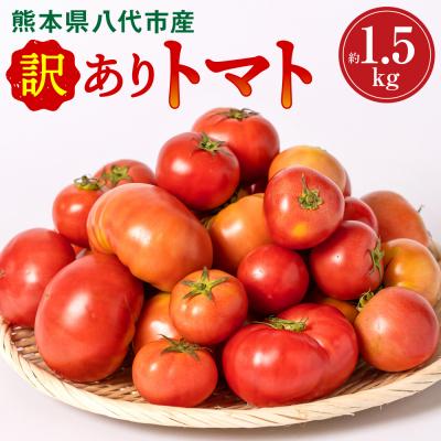 ふるさと納税 八代市 [先行予約]訳ありトマト 約1.5kg[2027年4月中旬より順次発送]_217-5119-C
