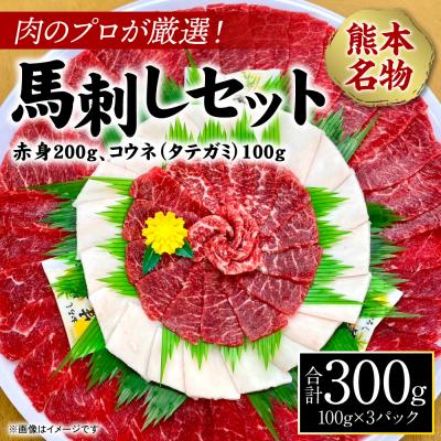 ふるさと納税 八代市 肉のプロが厳選!熊本名物! 馬刺しセット 計300g_227-4132-B