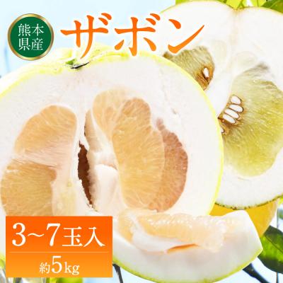 ふるさと納税 八代市 [先行予約]訳あり八代ザボン約5kg[2026年11月上旬より順次発送]_232-4969-A