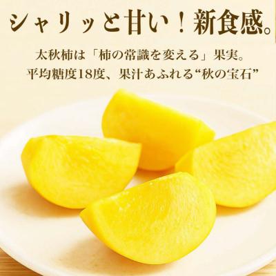 ふるさと納税 八代市 【先行予約】 太秋柿約3kg(8〜15玉)【2026年10月上旬より順次発送】_232-6031-A |  | 01