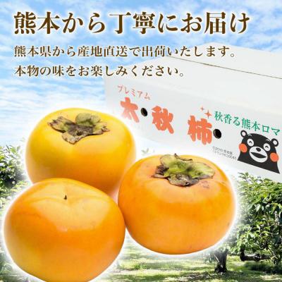 ふるさと納税 八代市 【先行予約】 太秋柿約3kg(8〜15玉)【2026年10月上旬より順次発送】_232-6031-A |  | 03