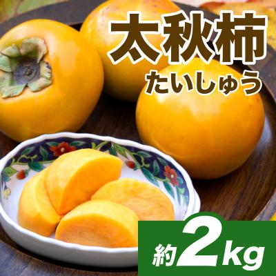 ふるさと納税 八代市 太秋柿 約2kg(4〜8玉)_232-6030-A