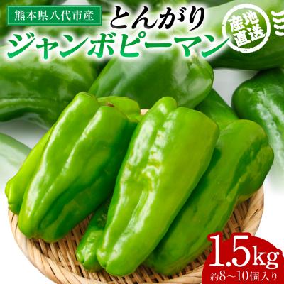 ふるさと納税 八代市 [先行予約]とんがりジャンボピーマン 1.5kg[2026年4月上旬より順次発送]