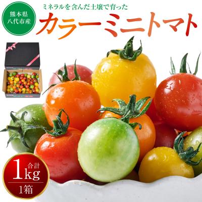 ふるさと納税 八代市 カラーミニトマト1kg トマト とまと ミニトマト_271-6522-A